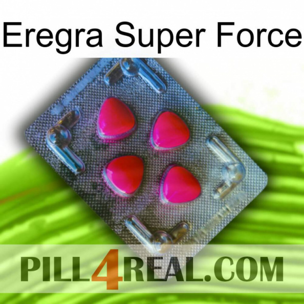 Eregra Super Force 13.jpg